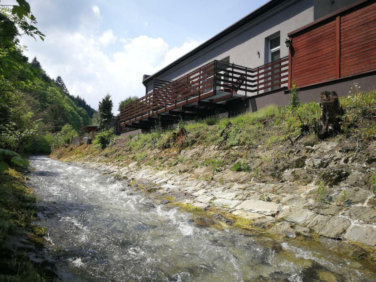 Villa Osrodek Wypoczynkowy Beskid Międzybrodzie Bialskie Exterior foto